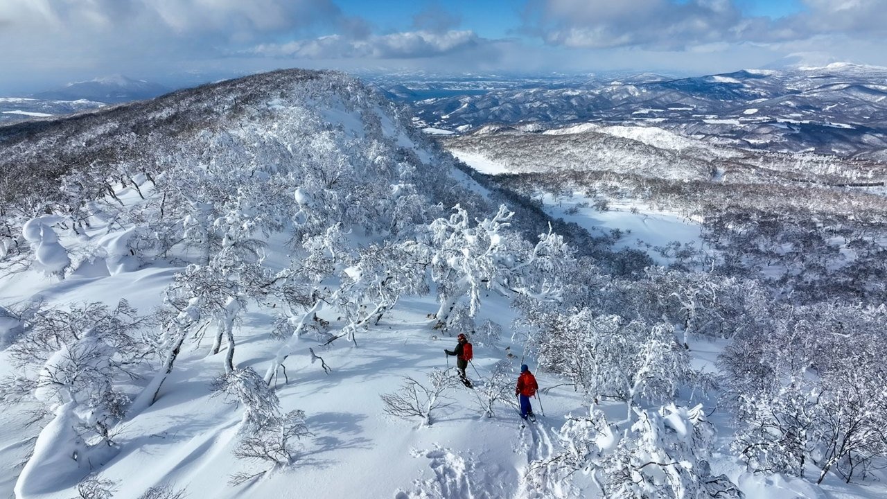 Wild Hokkaido!