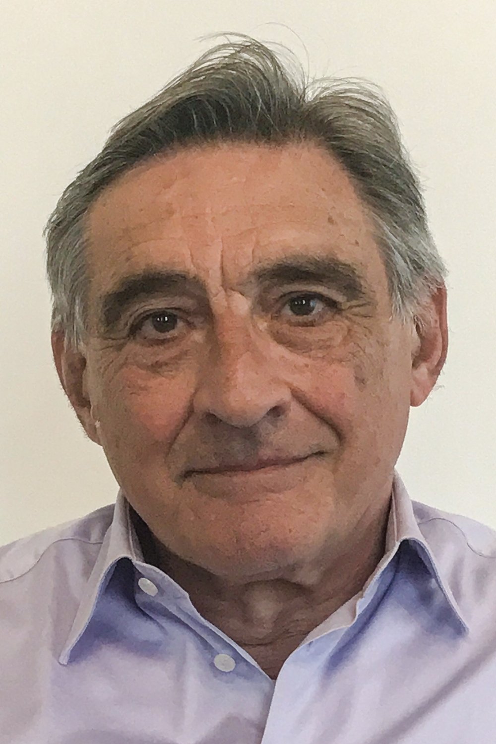 et billede af Ahmet İnsel