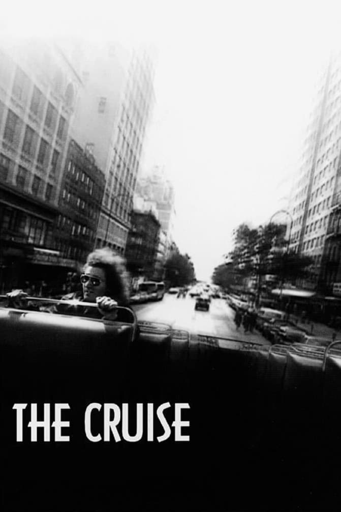 the cruise (1998 tv series)
