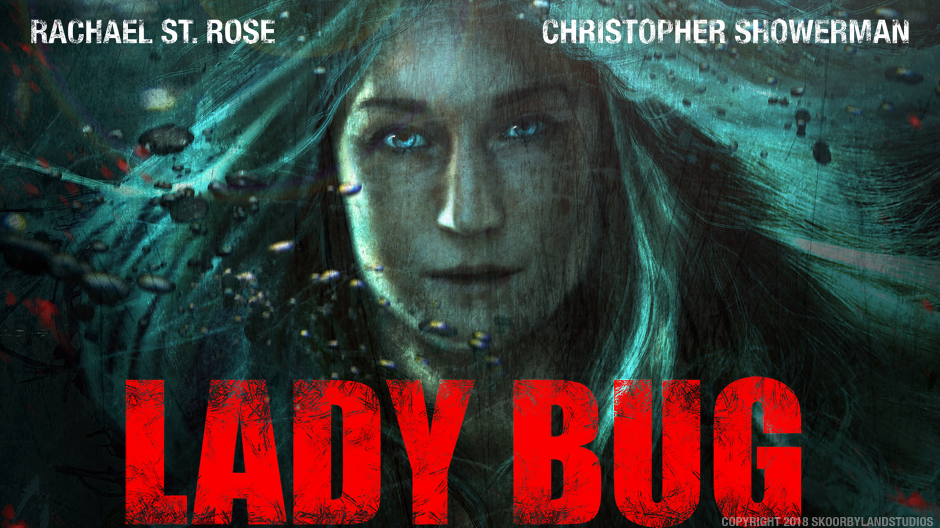 Lady Bug (2017)