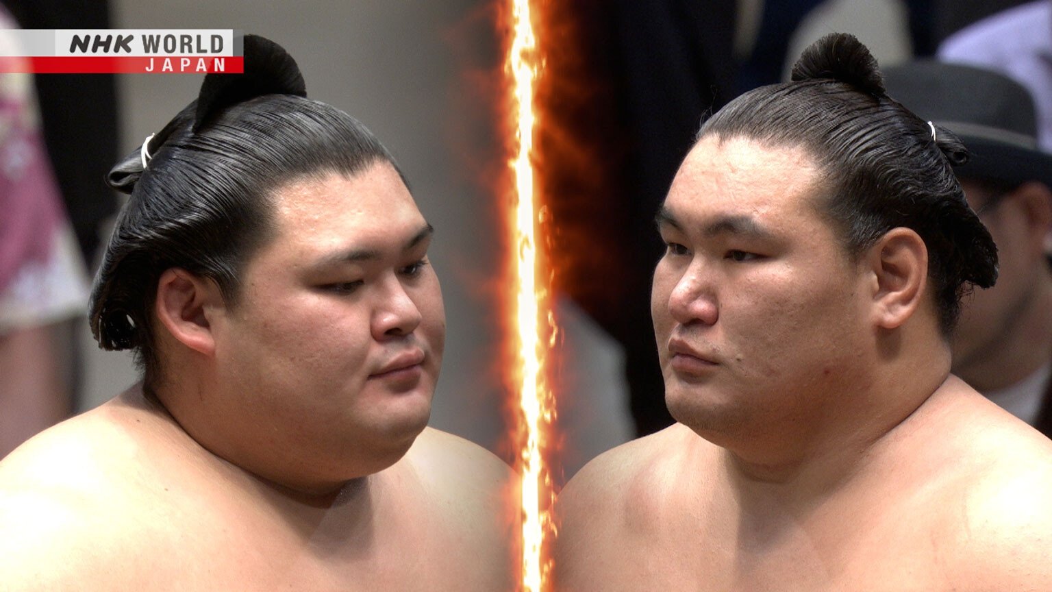 GRAND SUMO Highlights 31x15