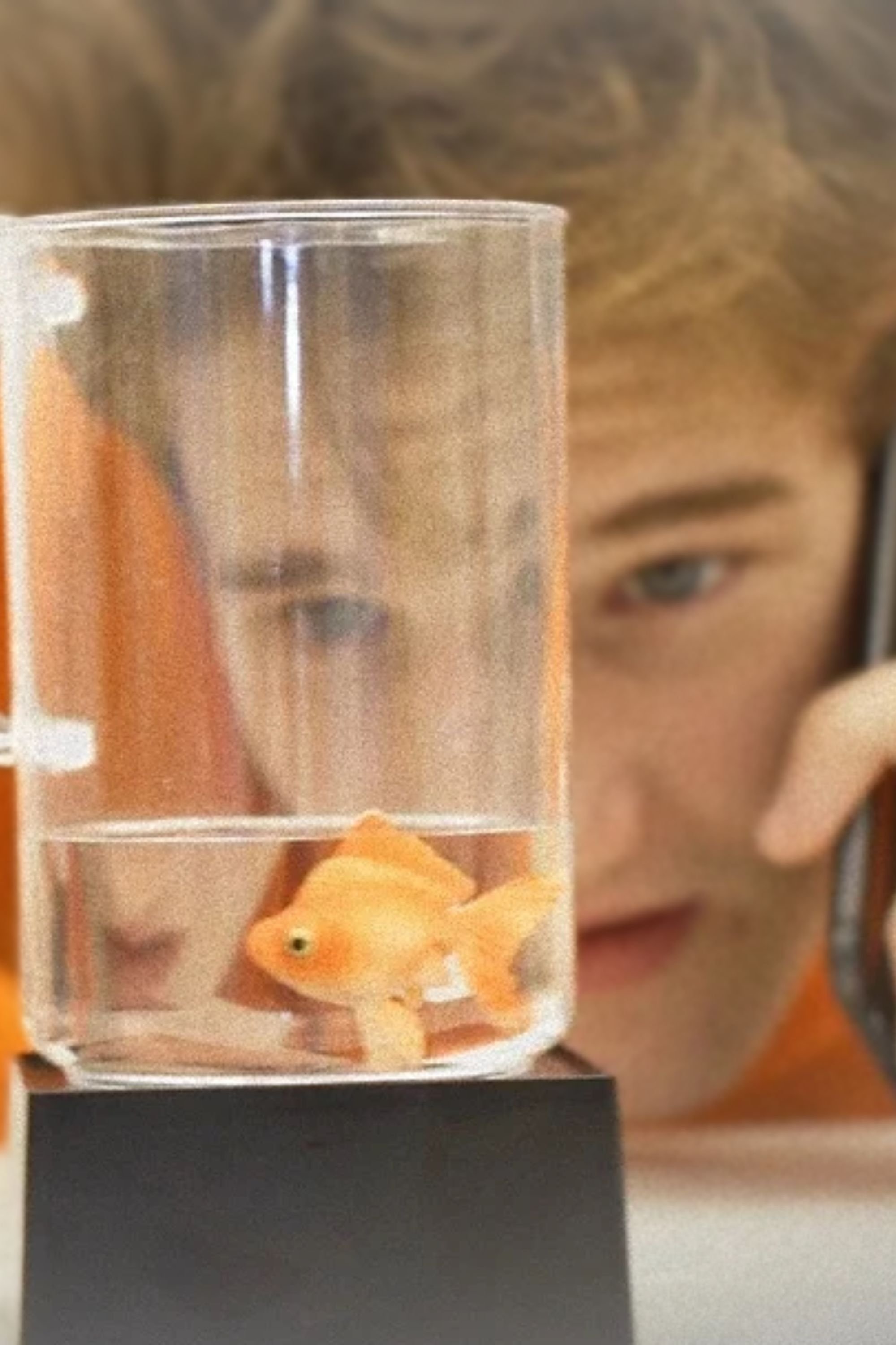 A Fishy State of Mind A Fishy State of Mind