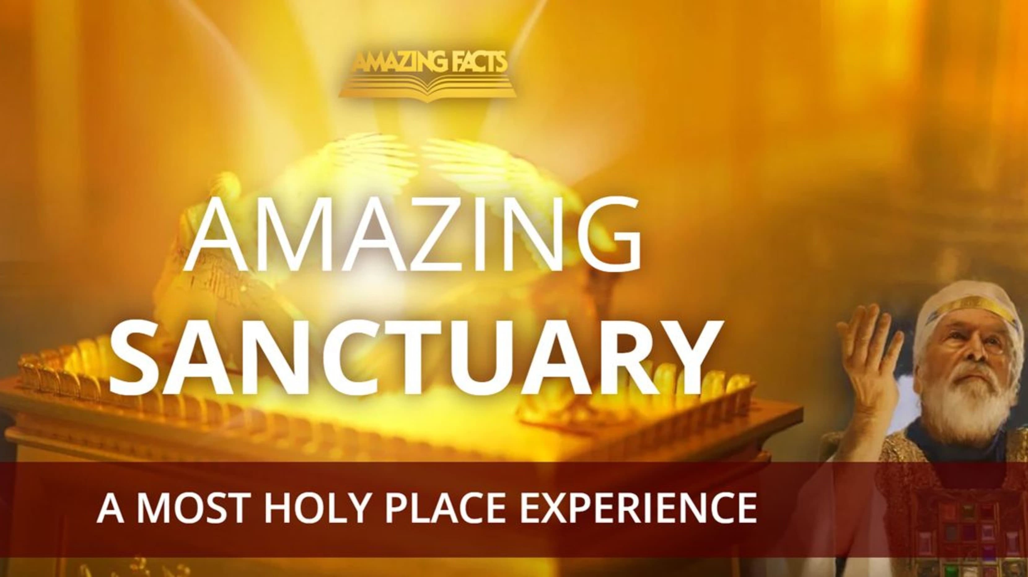 Amazing Sanctuary backdrop