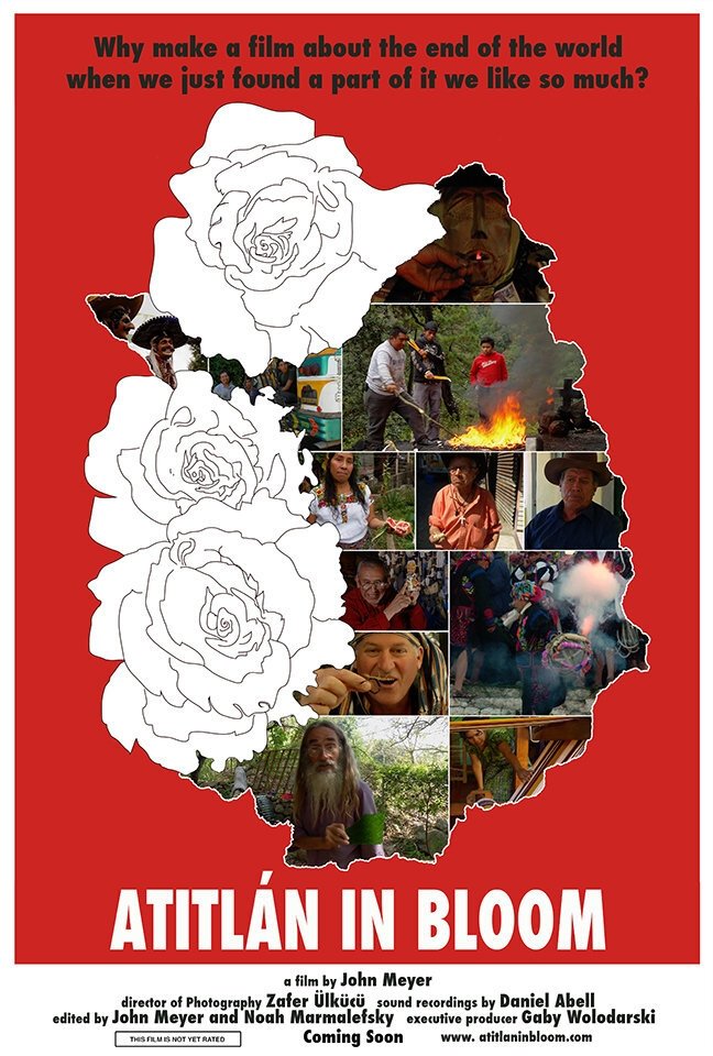 Content cover
