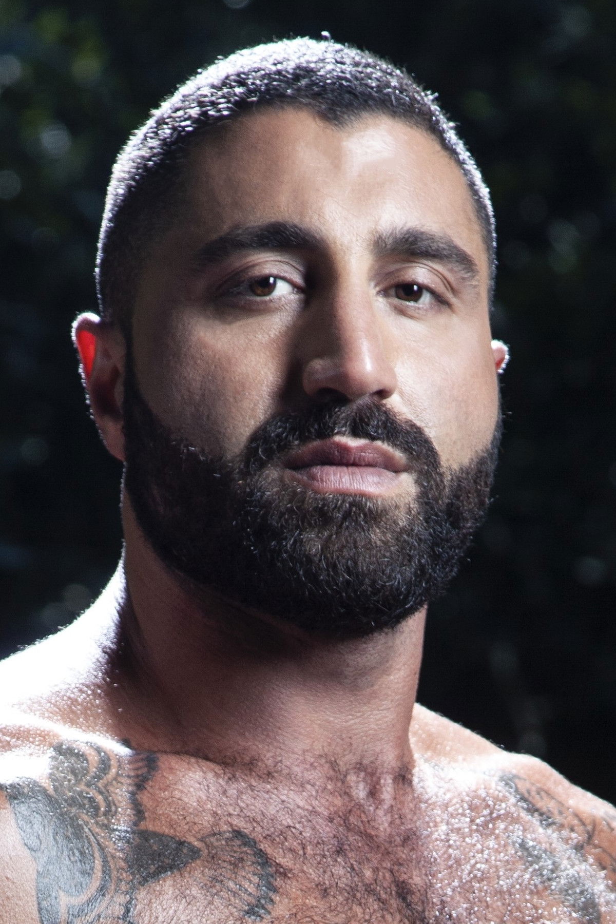 et billede af Sharok