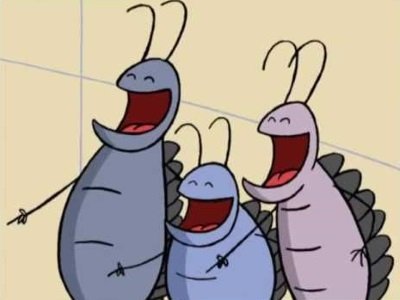 Fly Tales
