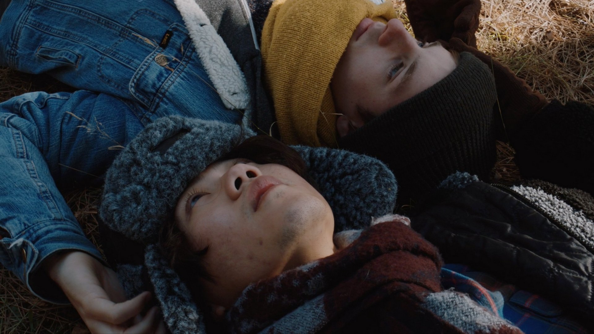 Wolves (2016)