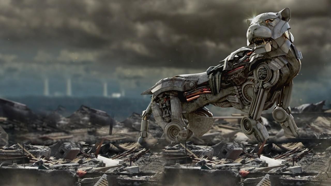 Imagem do Filme Future Cat
