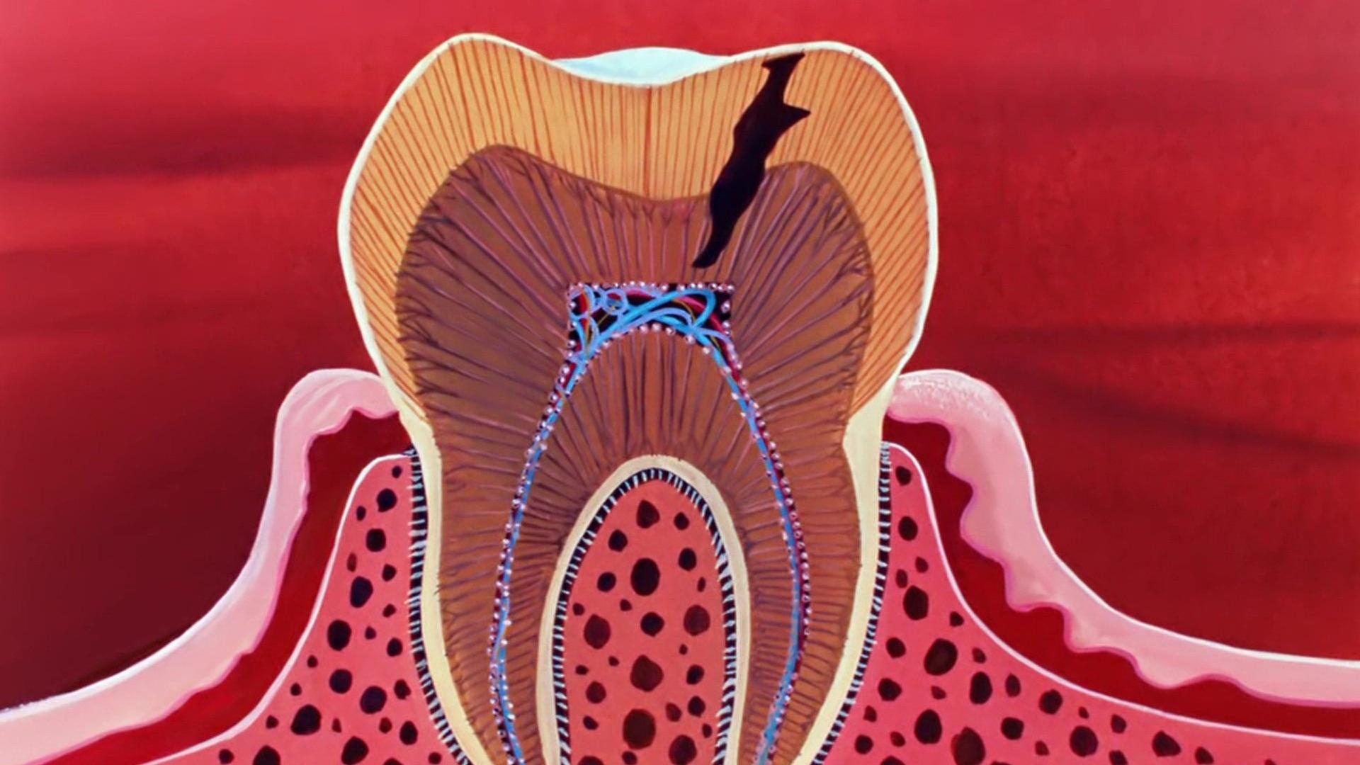 Thumbnail for The Mouth and the Teeth Season 1 Episode 14