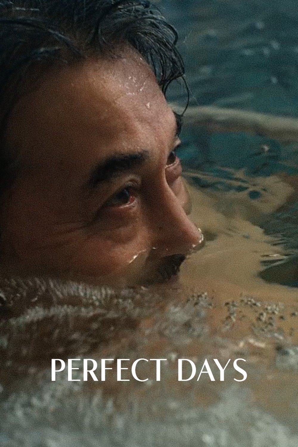 Perfect Days