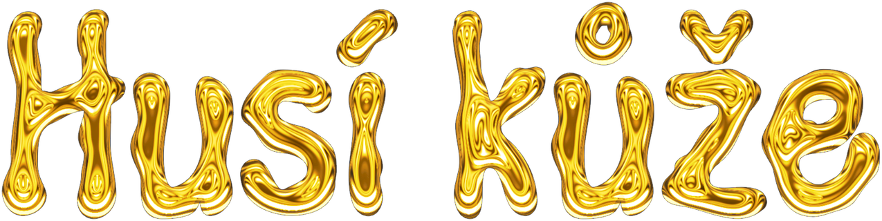 Husí kůže