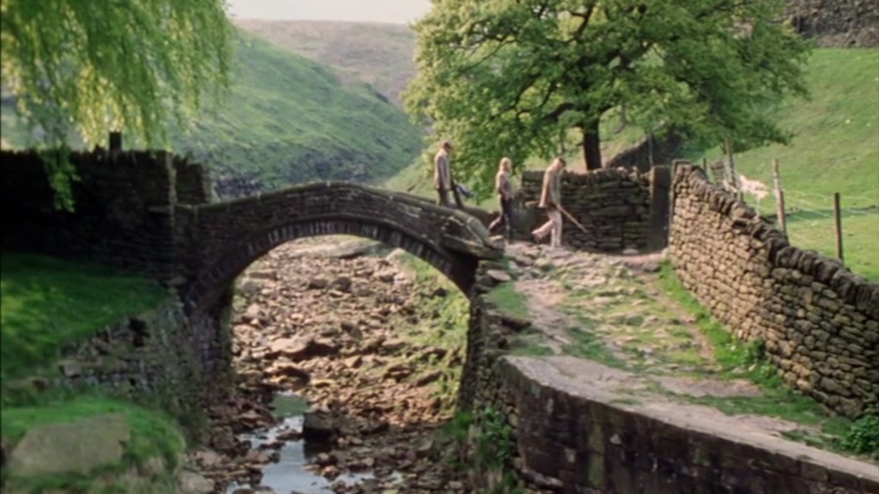 Last of the Summer Wine
