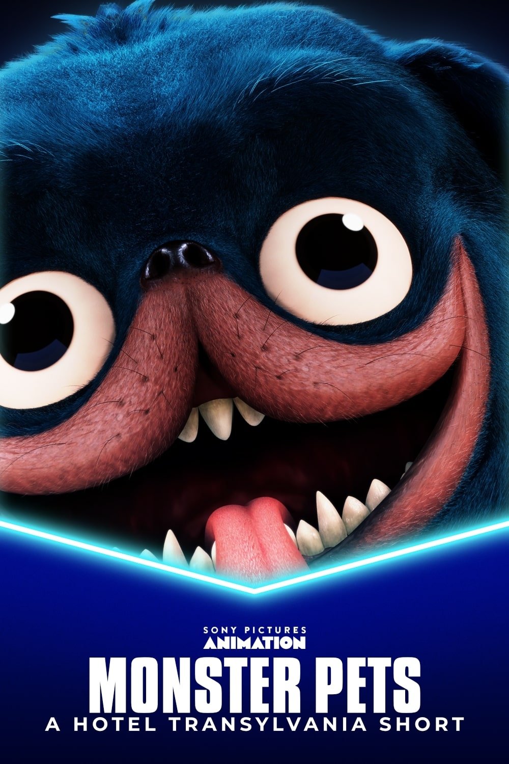 Monster Pets: A Hotel Transylvania Short