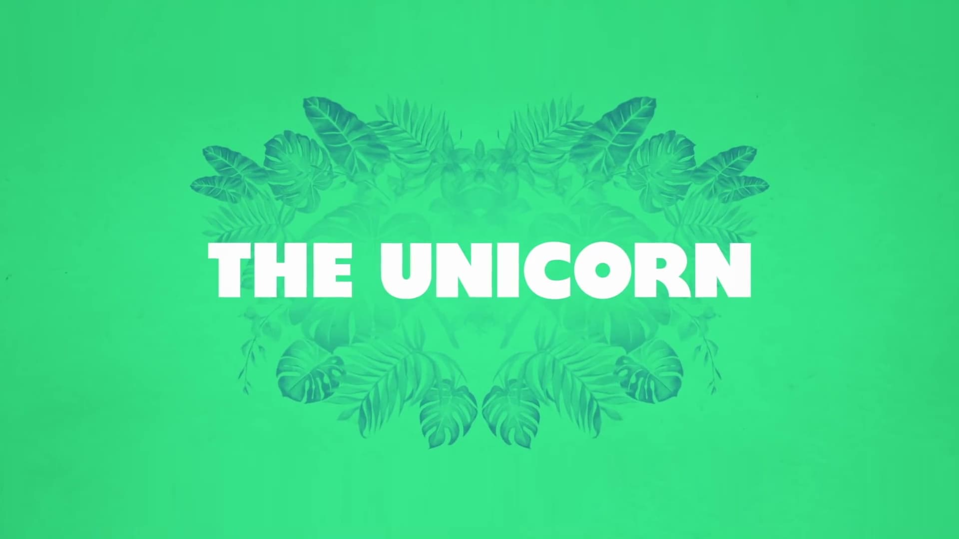 The Unicorn (2019)