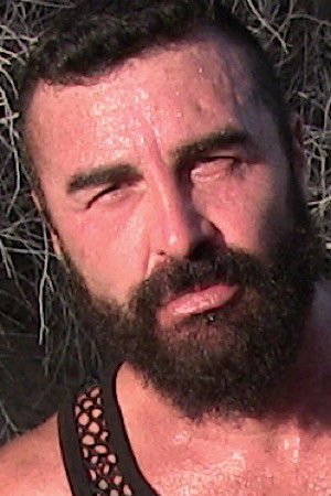 et billede af Pitbull