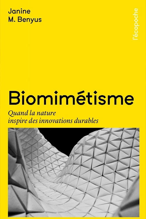 le biomimétisme pour construire le monde de demain