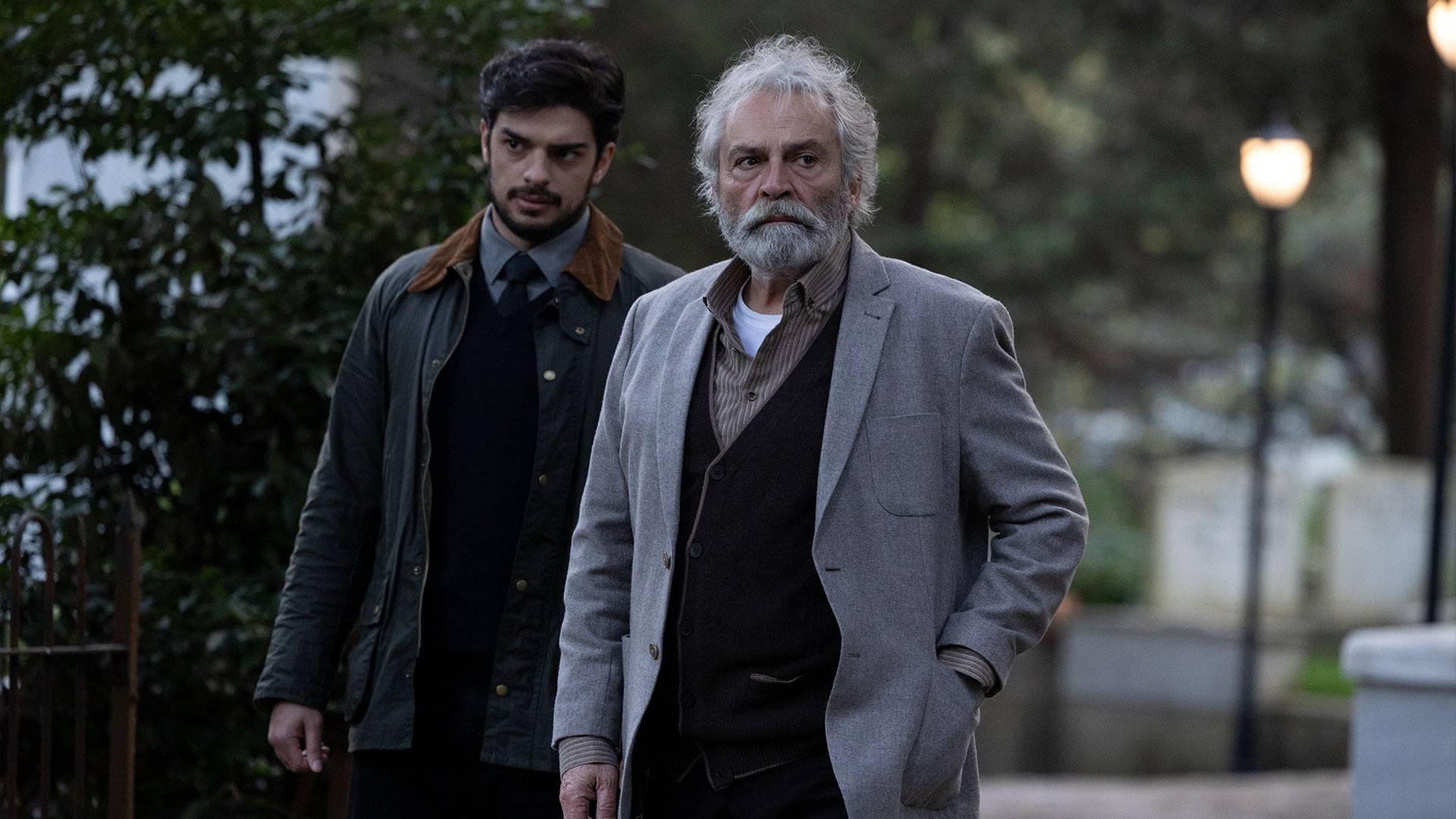 The Turkish Detective