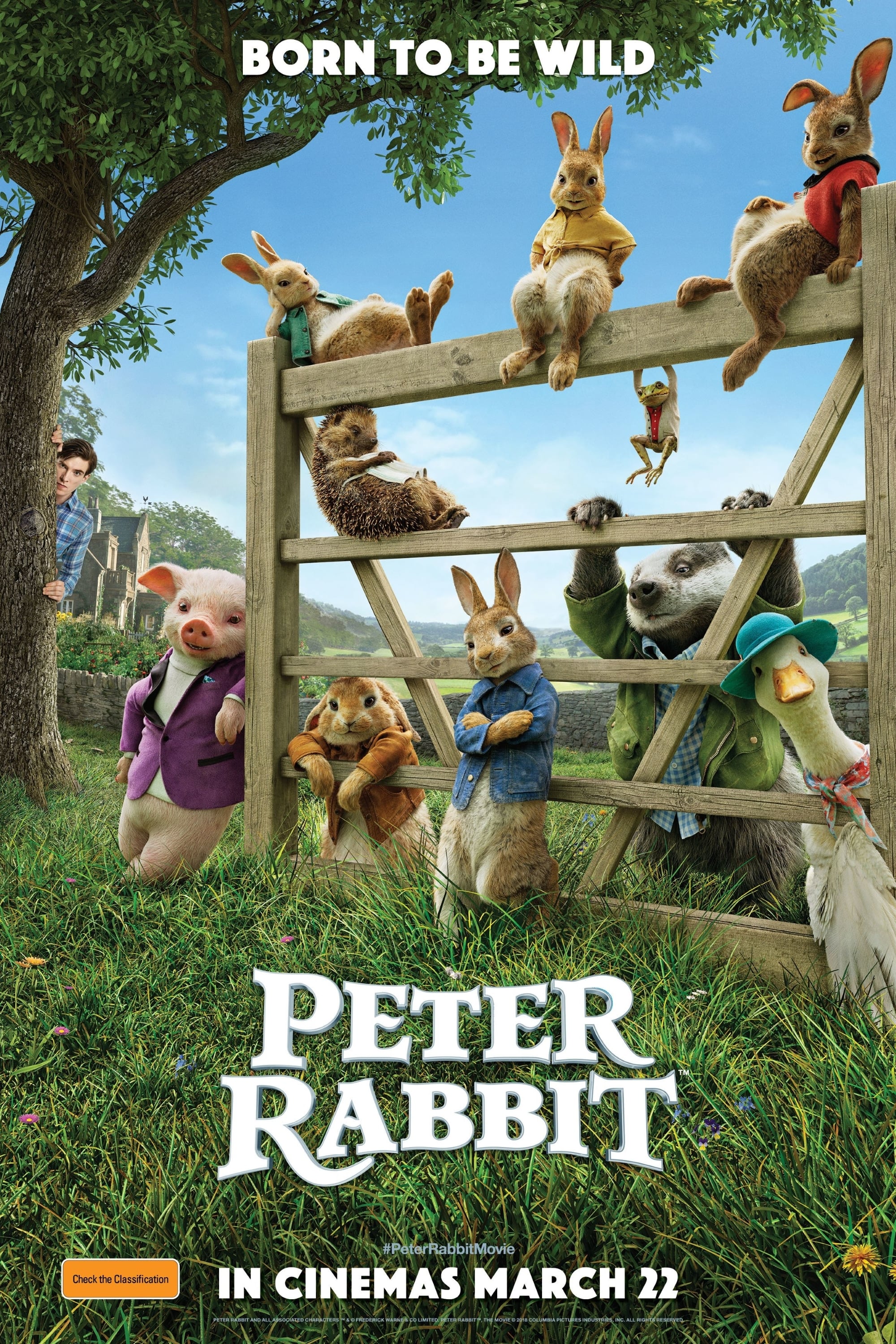 Peter Rabbit Movie poster