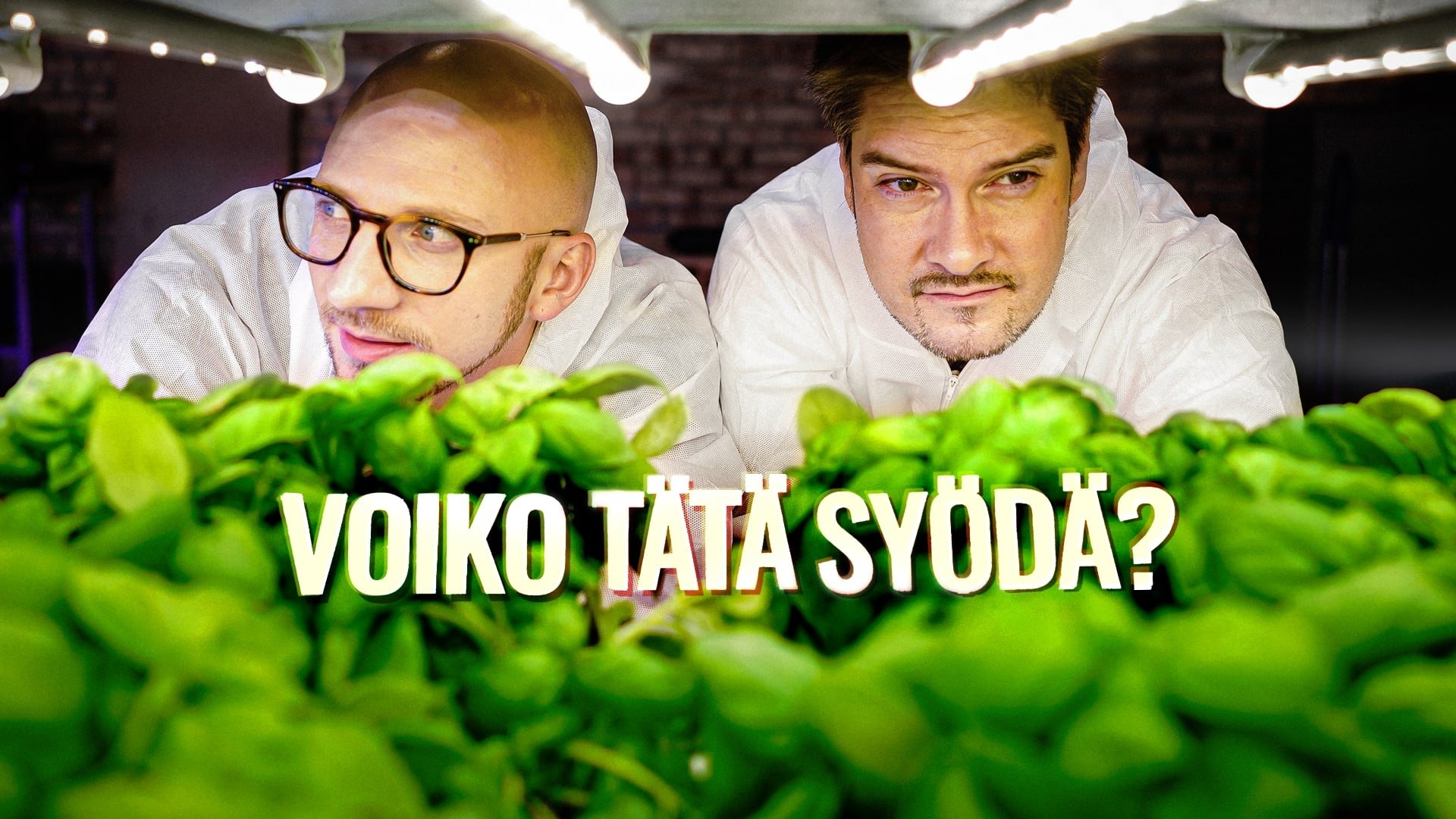 Voiko tätä syödä? background