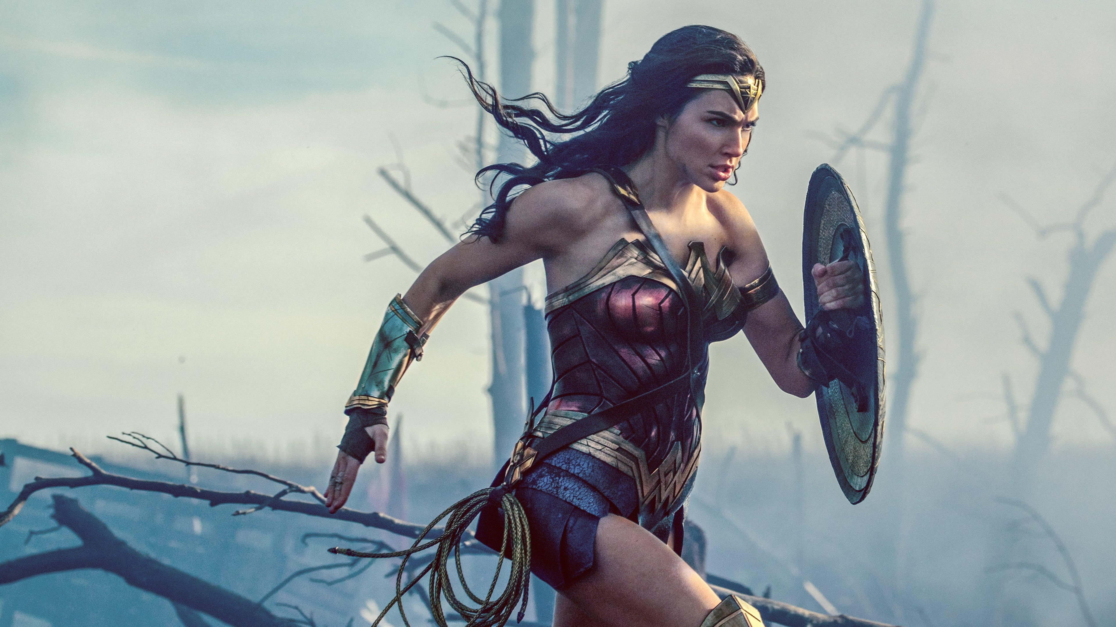 Image du film Wonder Woman 2t2iqw4z6egu1v5jrscibnk0r5jjpg