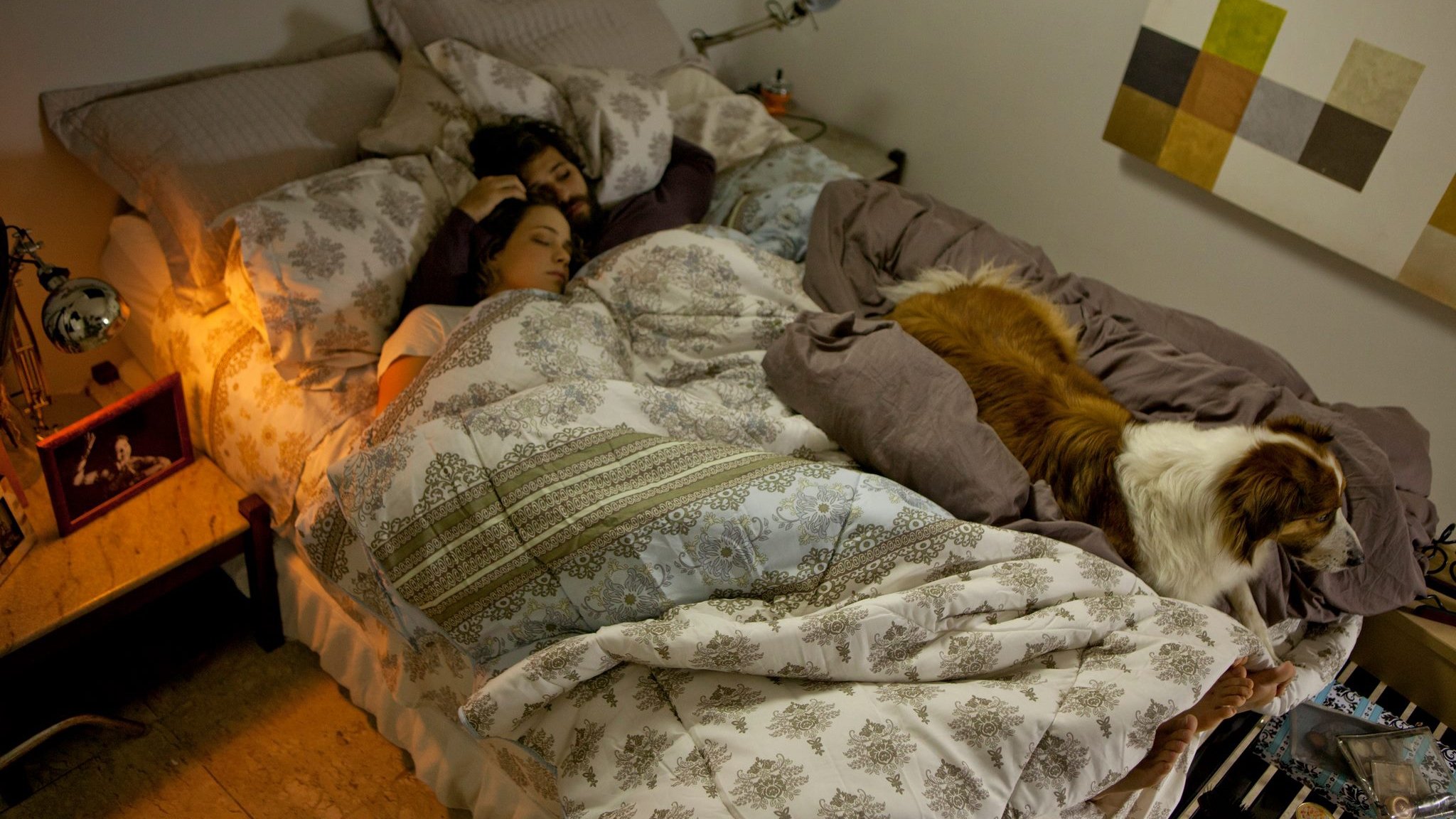 Mato Sem Cachorro (2013)