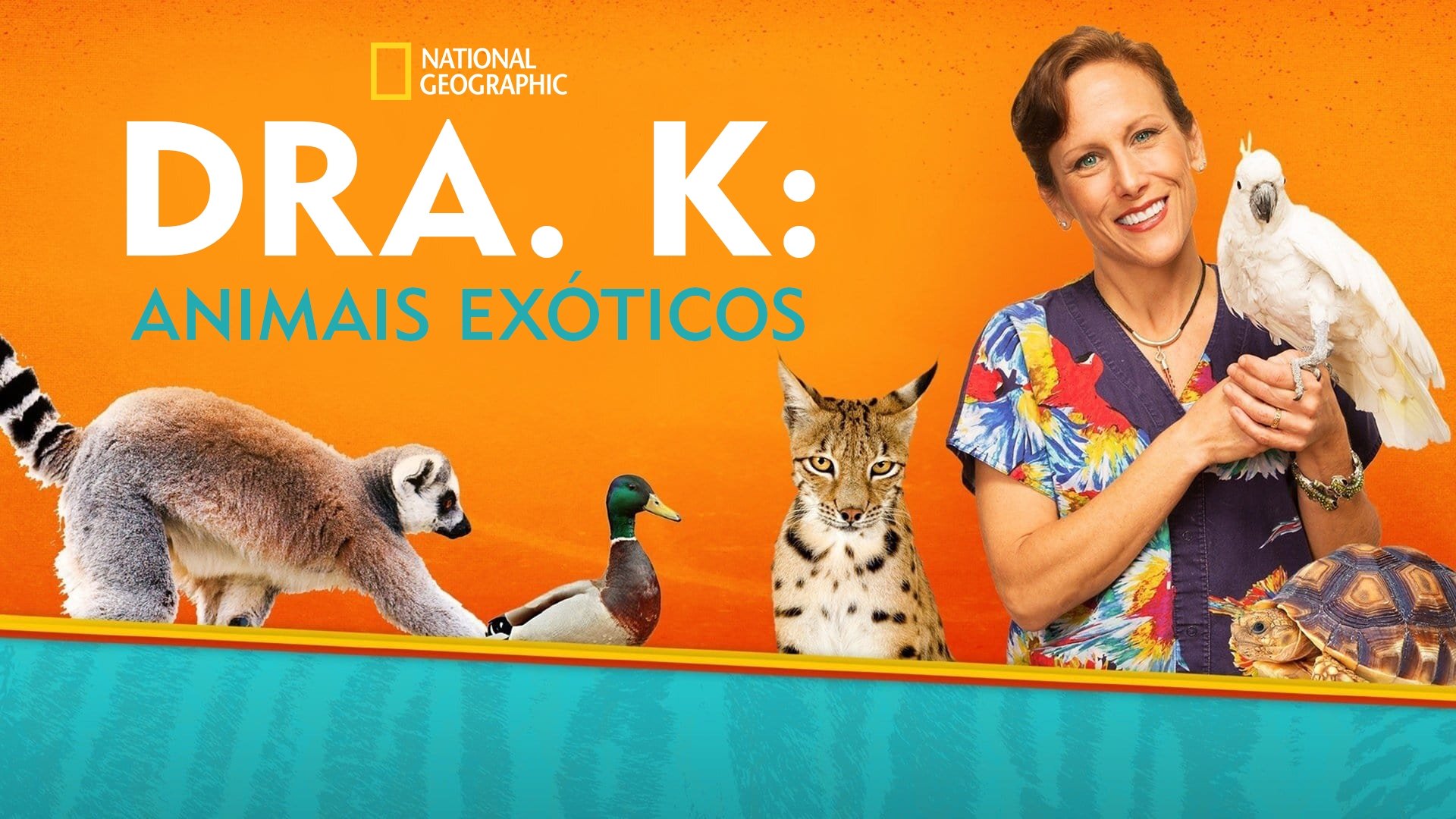 Dr. K's Exotic Animal ER