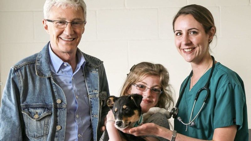 Paul O'Grady, pour l'amour des chiens - Épisode 6