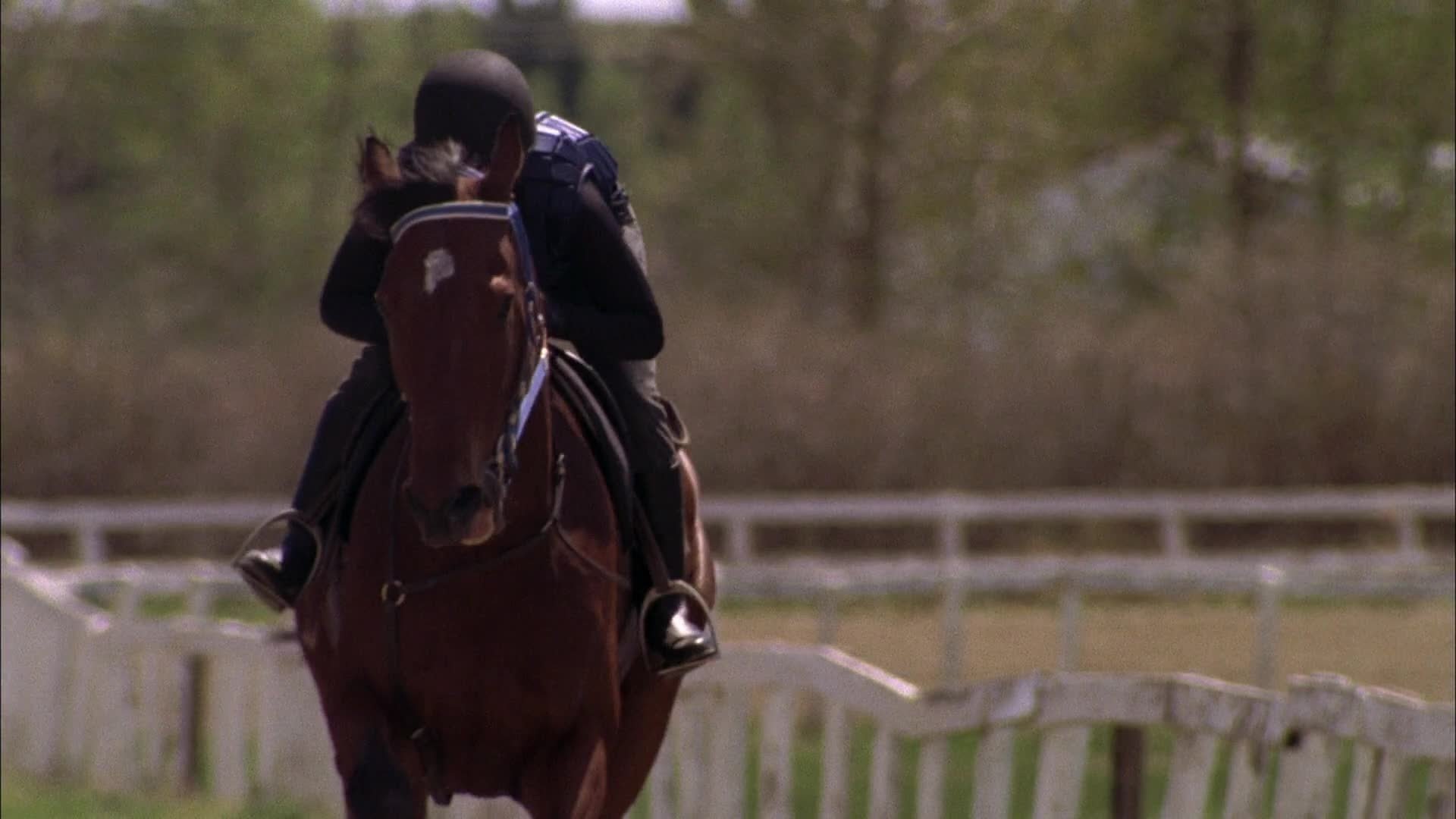 Heartland - Paradies für Pferde Staffel 4 :Folge 2 