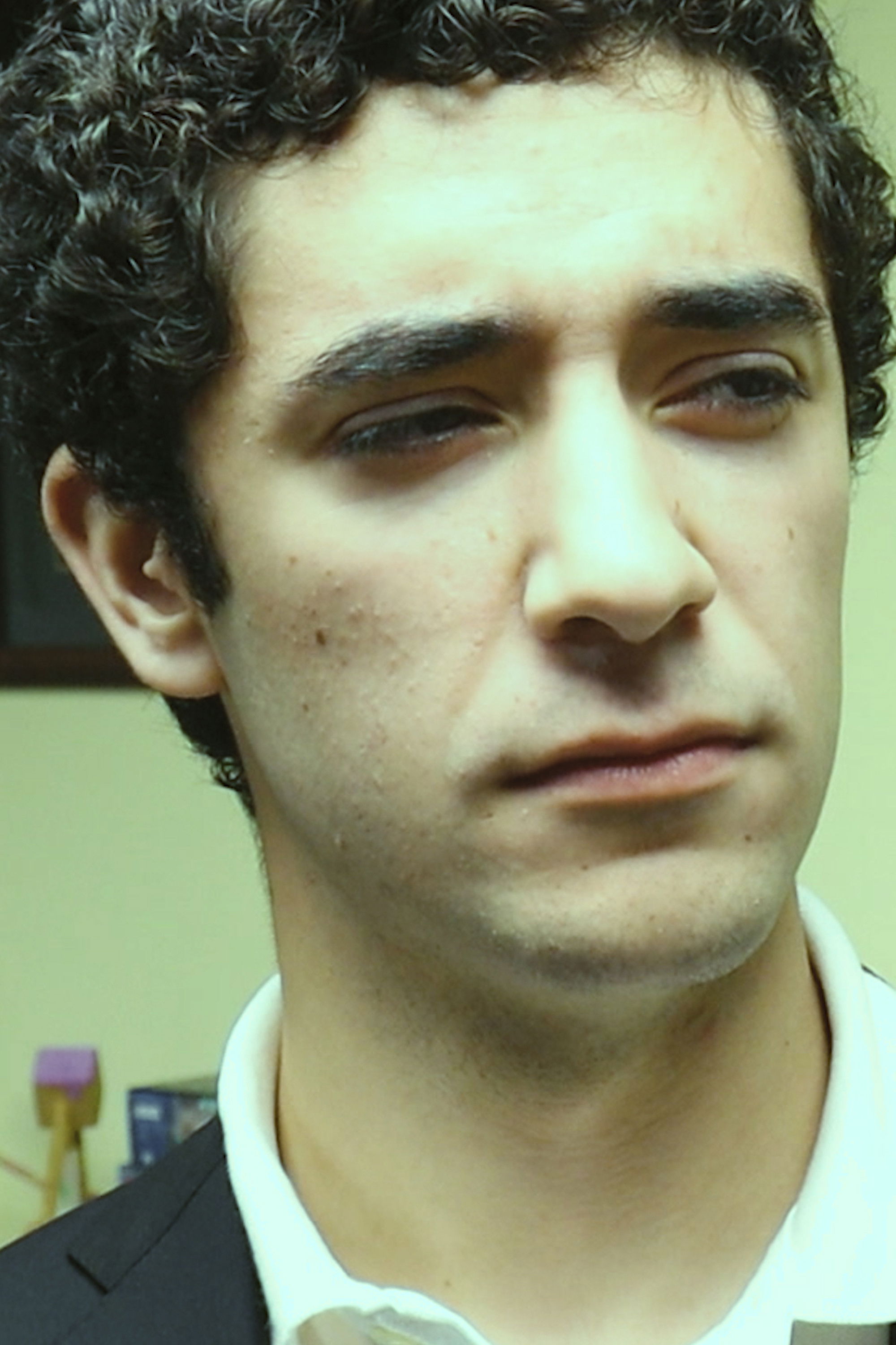 et billede af Leo Perlstein