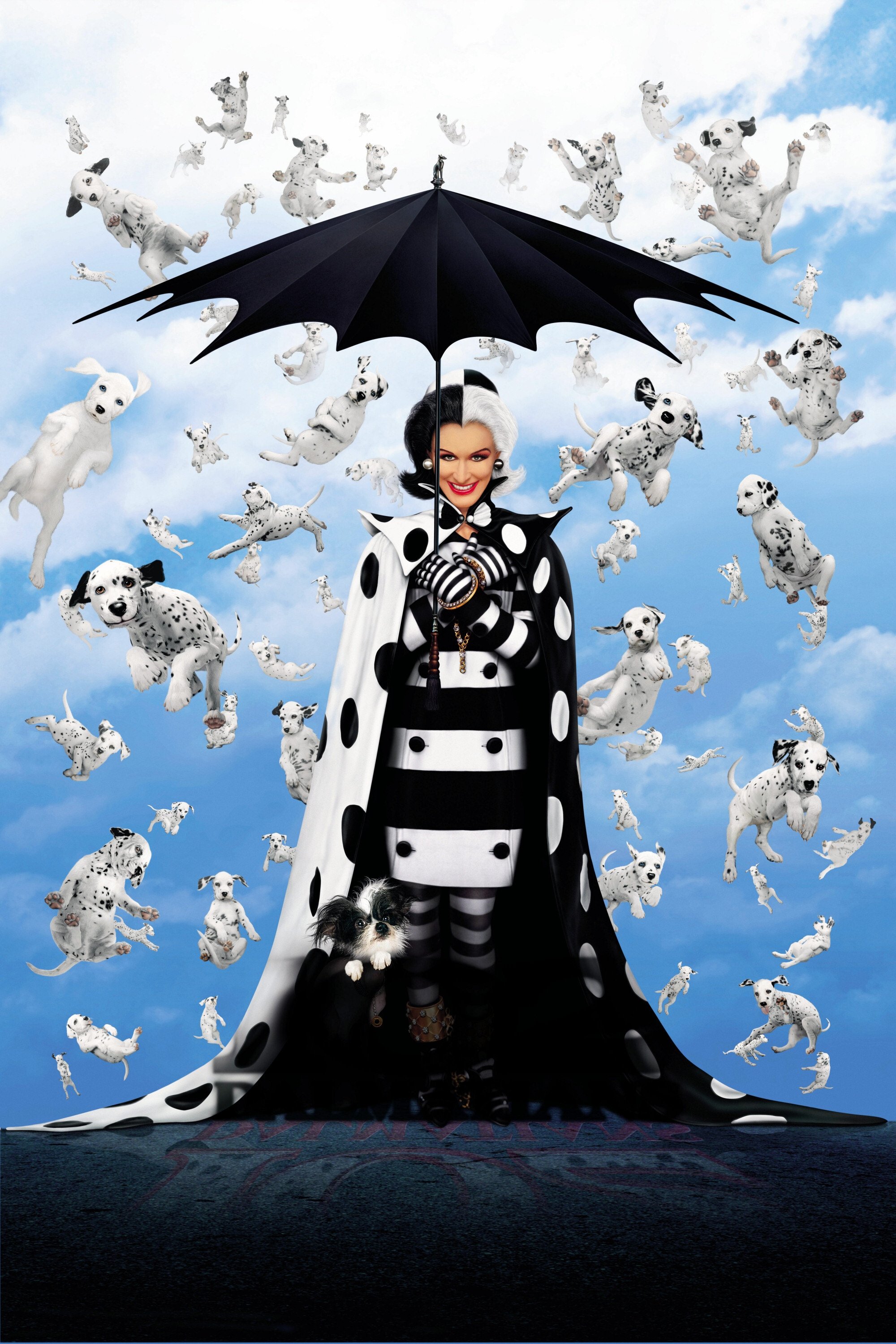 TMDB Image