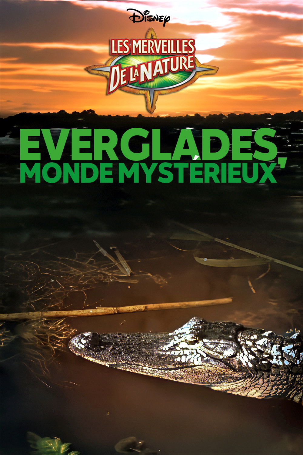 Everglades, monde mystérieux
