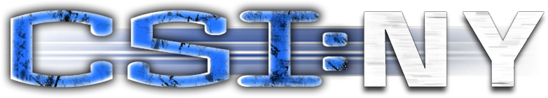 CSI: NY Logo