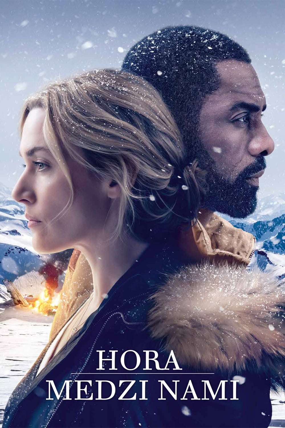 The Mountain Between Us