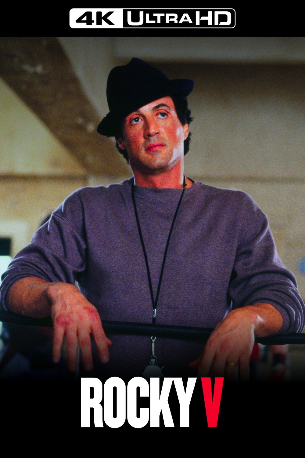 Rocky V