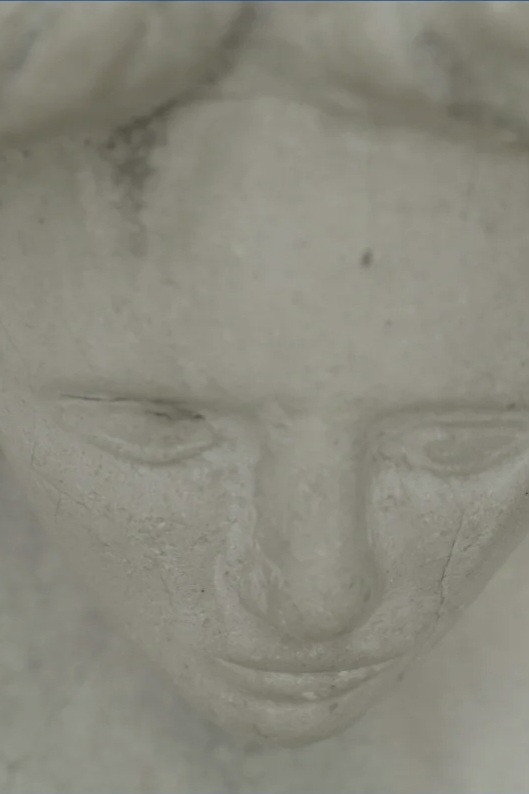 Poster for Back Flow