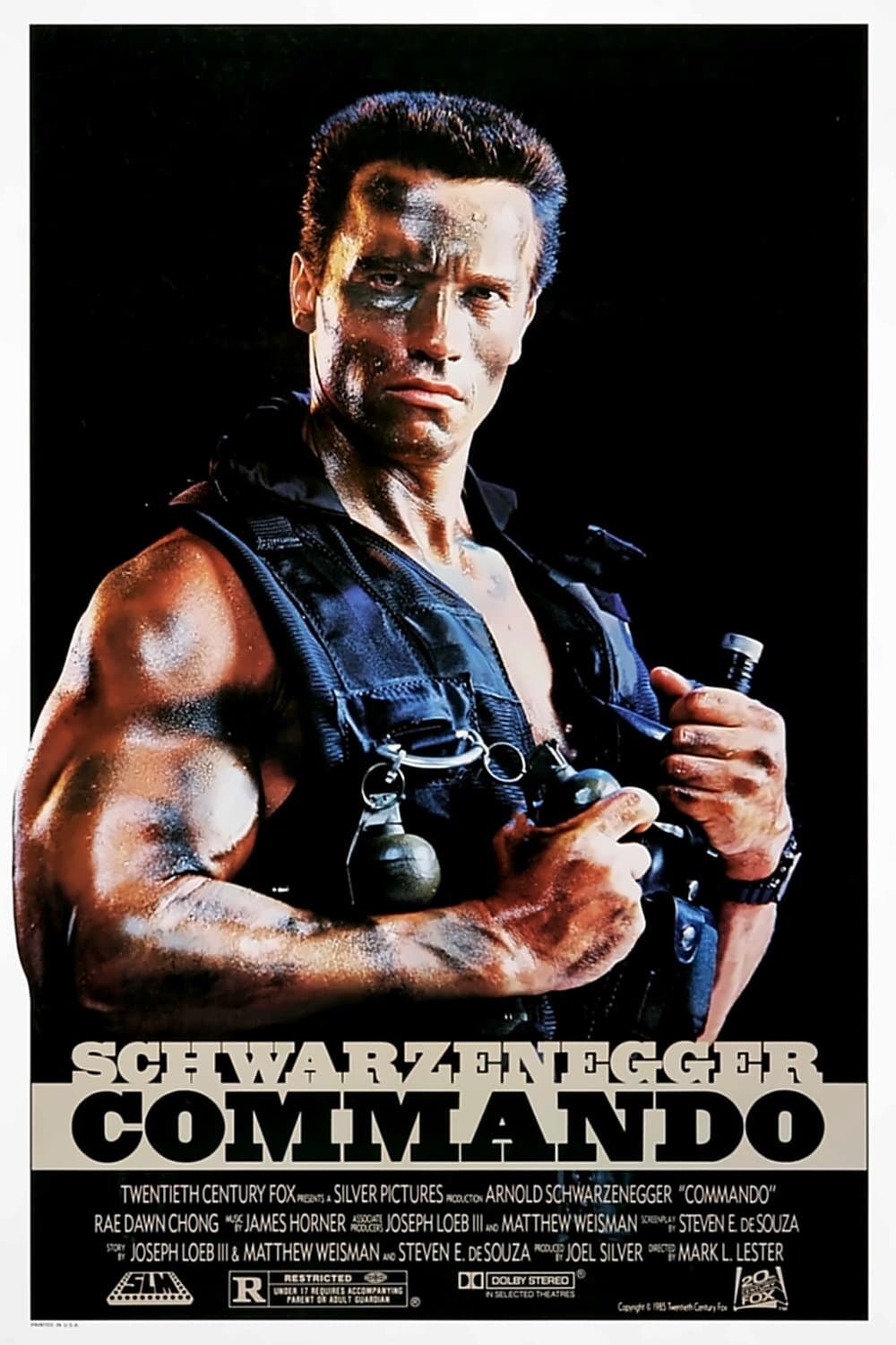 Commando Movie poster