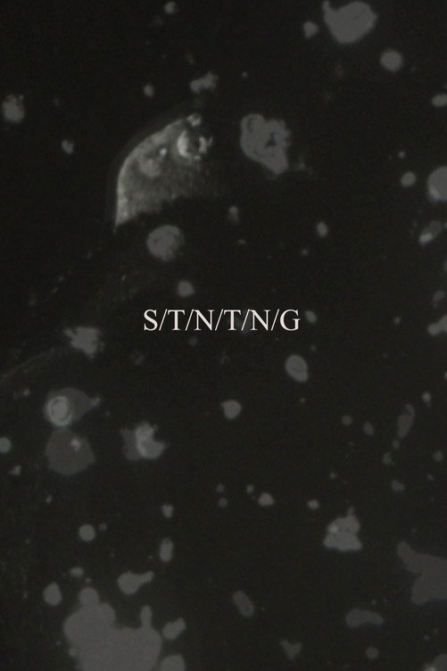 S/T/N/T/N/G