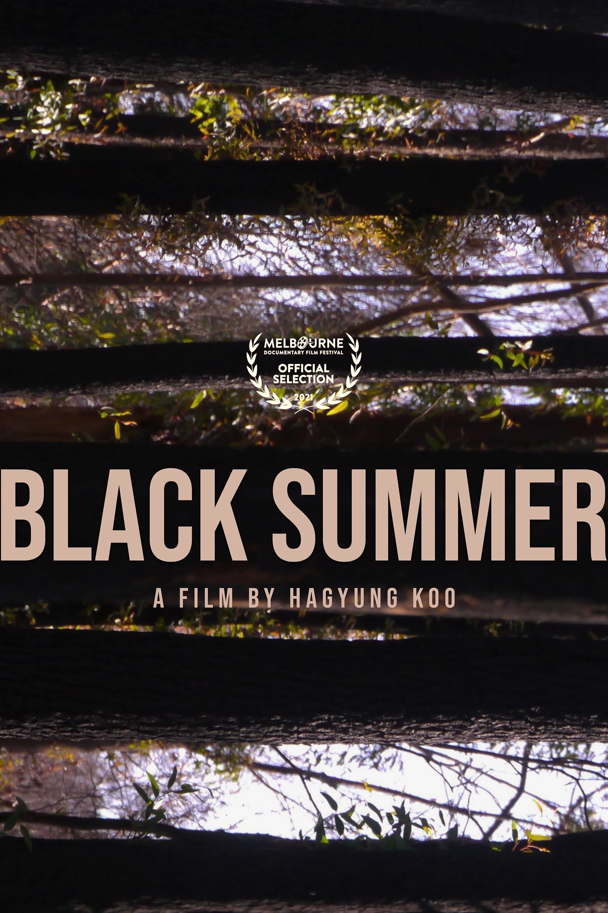 Black Summer on FREECABLE TV