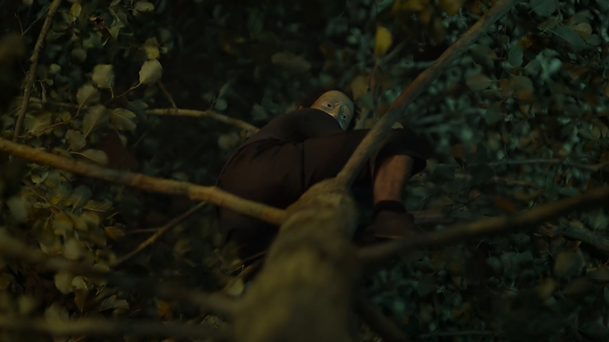 The Fall (2019)