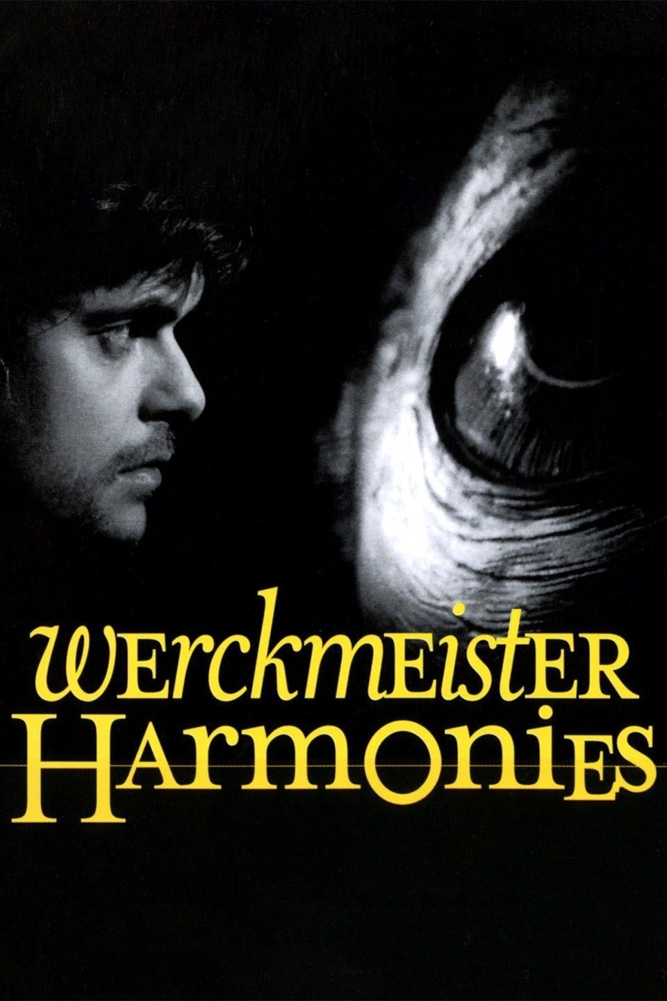 Werckmeister Harmonies