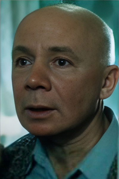 et billede af Boris Sapozhnikov