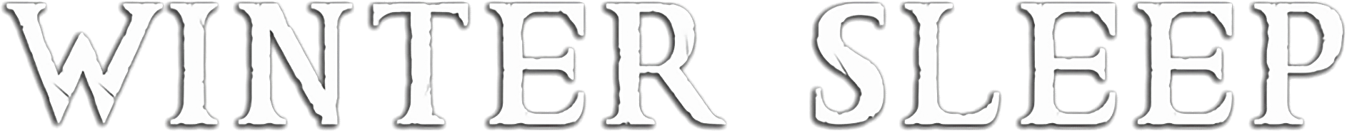 Winter Sleep Logo
