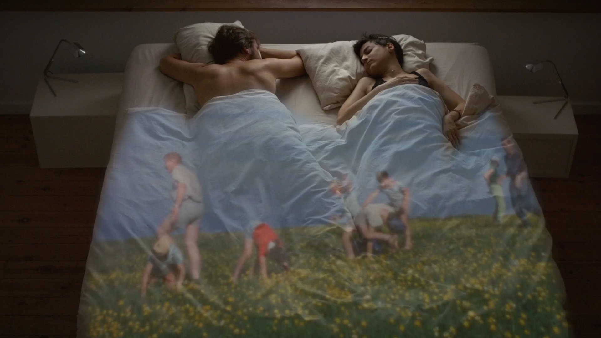 Le rêve des cigognes