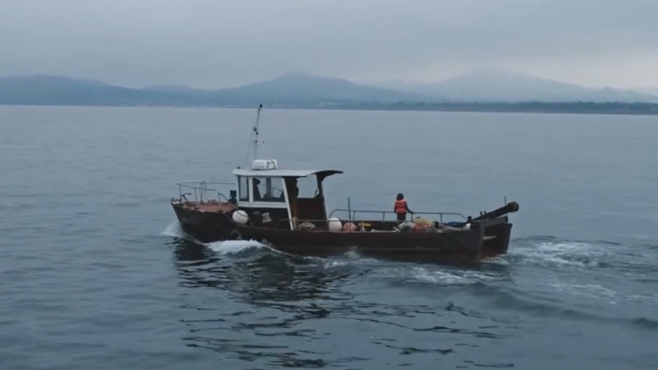 Low Tide (2018)