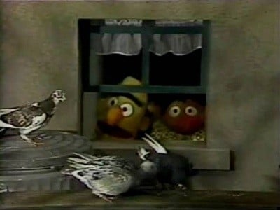 Sesame Street Staffel 20 :Folge 9 