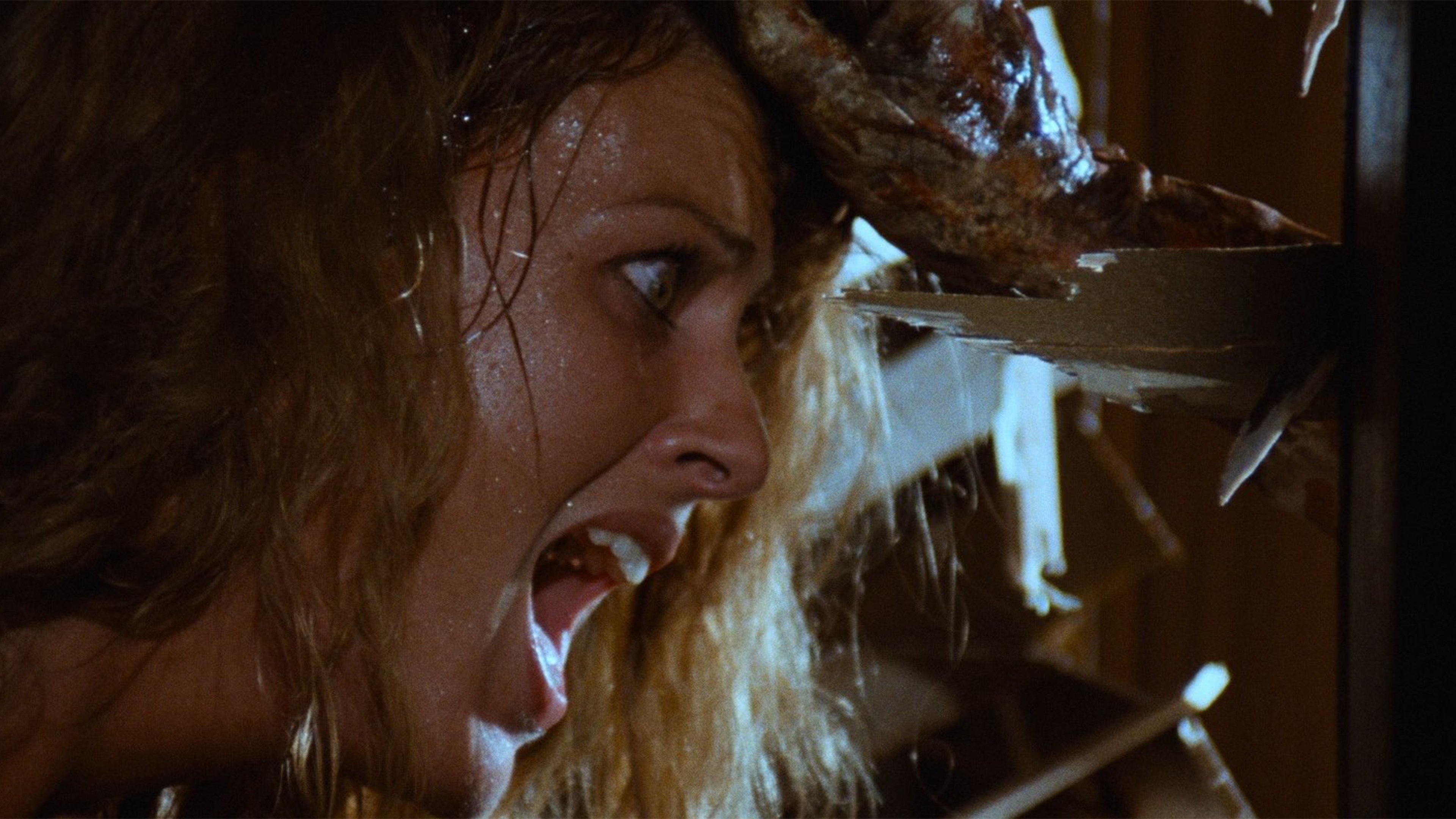 Zombie Flesh Eaters