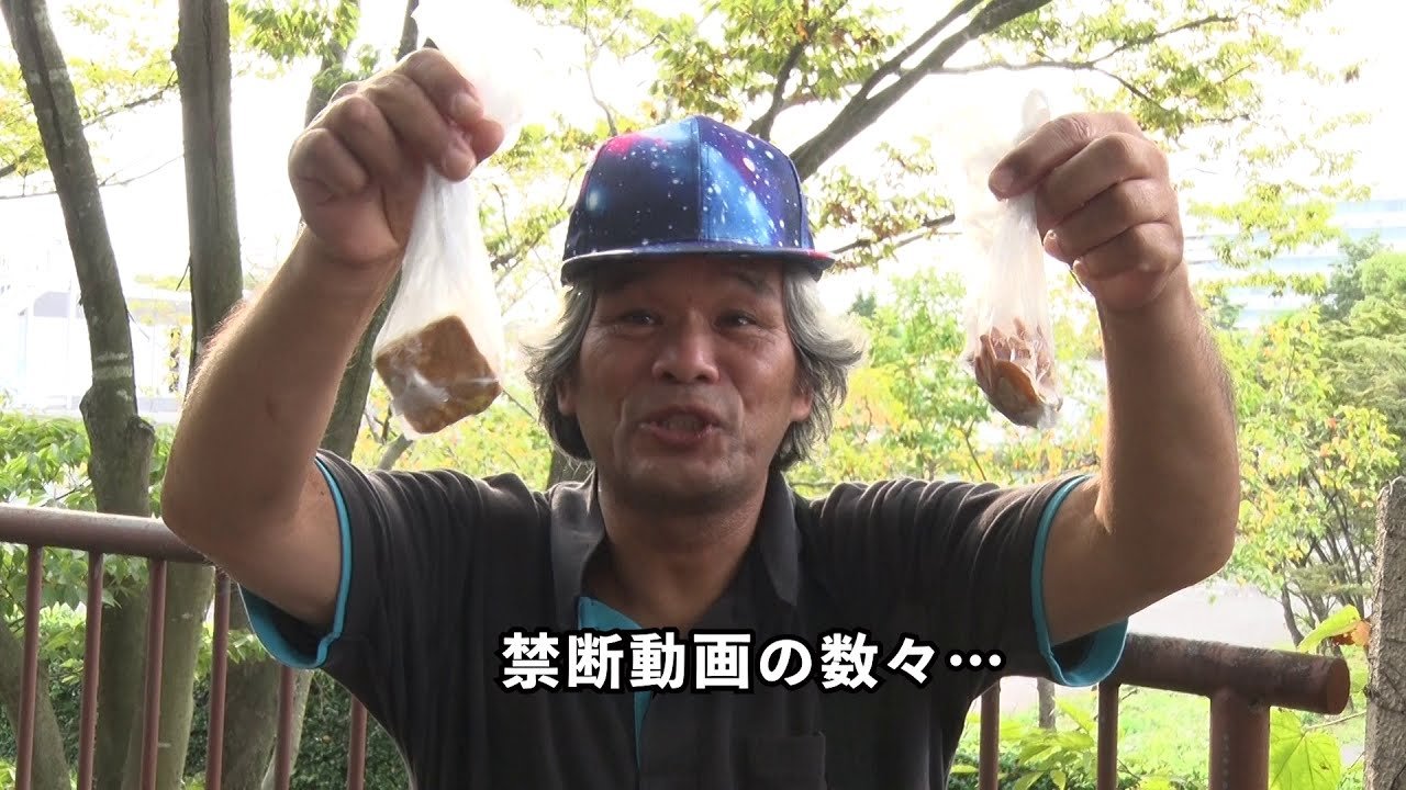 Backdrop ネットから削除された禁断動画37