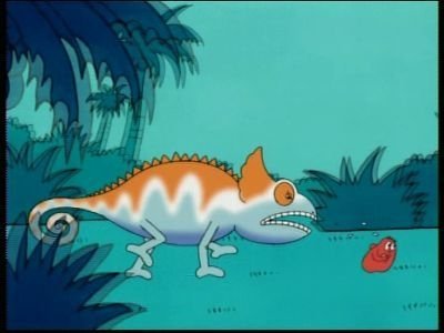 Thumbnail for Madagascar - Aye-Aye Season 1 Episode 45