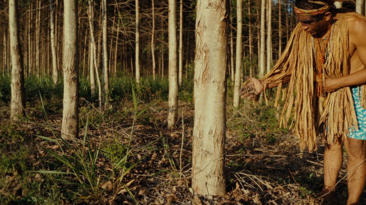 Planter à tout prix - Des arbres pour sauver la planète ? (2025)