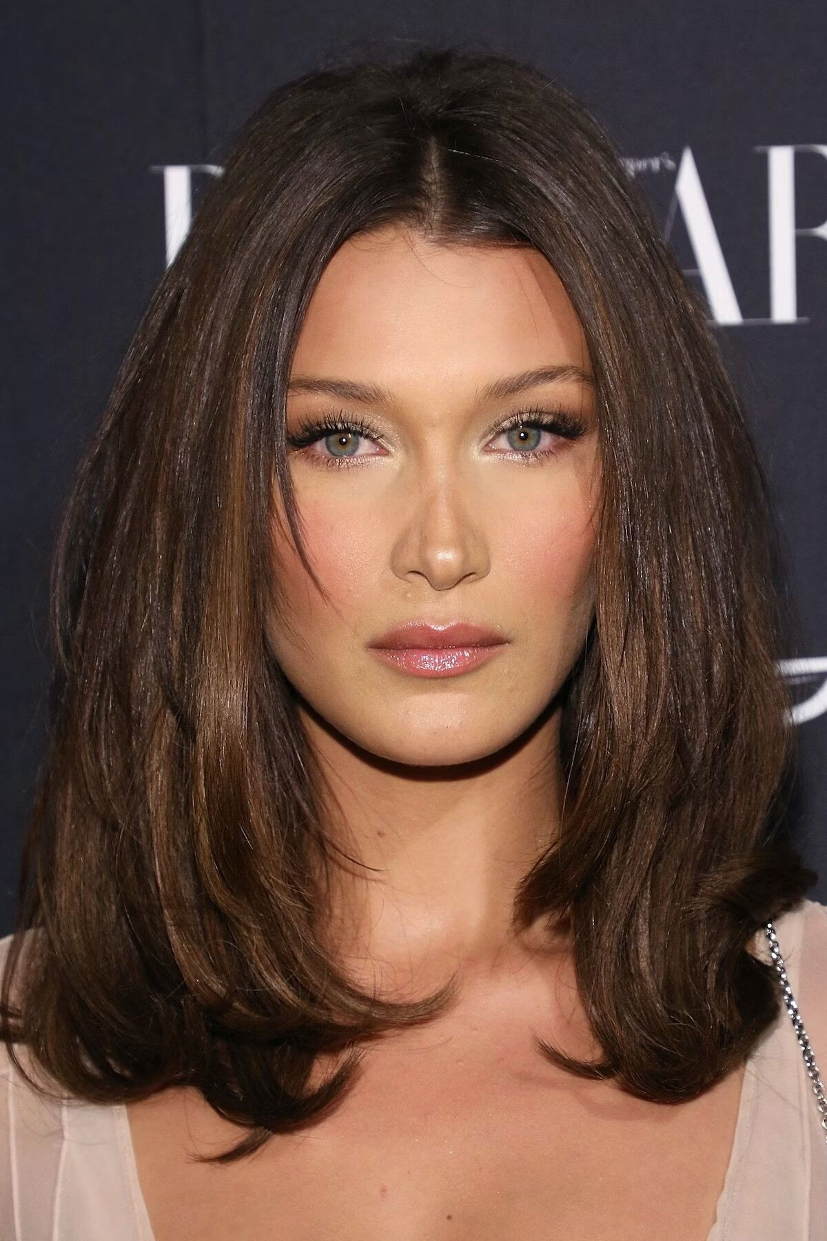 et billede af Bella Hadid